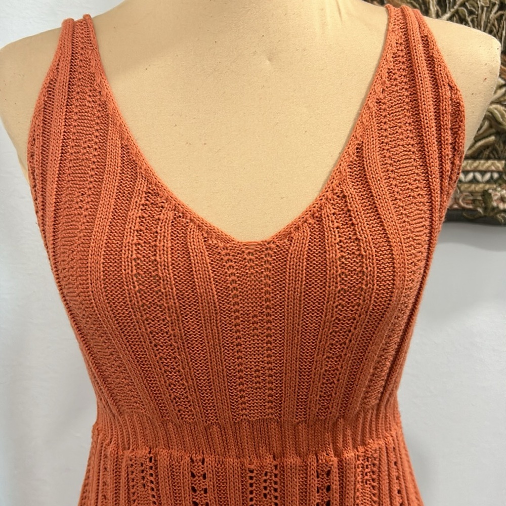 Petal & Pup Terracotta Midi Dress - Picture 4 of 14